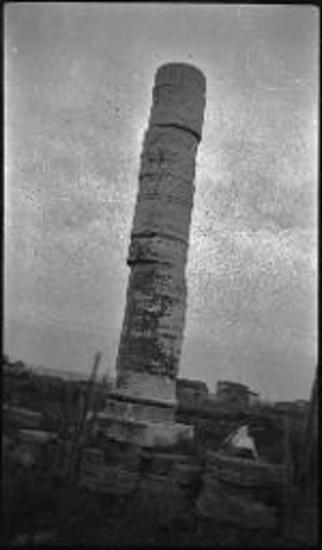 Samos. Column standing
