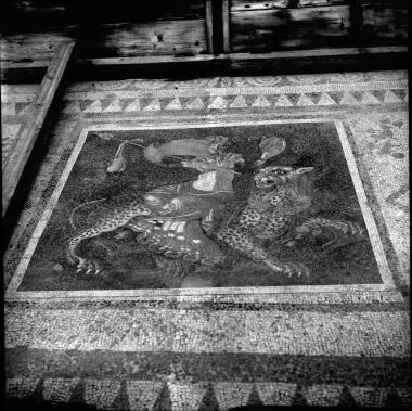 Delos. Mosaic of Dionysus riding the panther