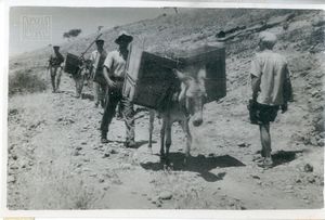 Εξόριστοι στον Άη Στράτη εν ώρα εργασιών