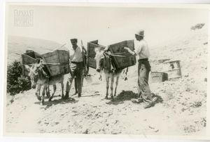 Εξόριστοι στον Άη Στράτη, περισυλλογή σκουπιδιών