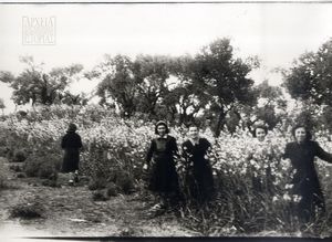 Γυναίκες πολιτικοί εξόριστοι στο Τρίκερι