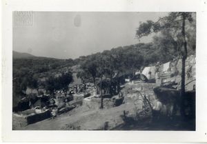 Το στρατόπεδο των εξορίστων γυναικών στο Τρίκερι