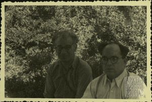 Στελέχη Δ.Σ.Ε.