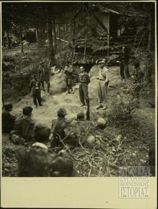 Στελέχη Δ.Σ.Ε.