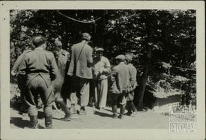 Στελέχη Δ.Σ.Ε.