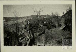 Στελέχη Δ.Σ.Ε.