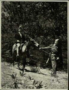 Στελέχη Δ.Σ.Ε.