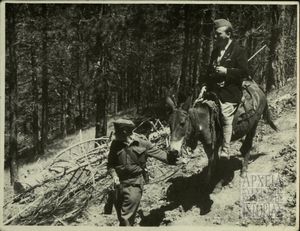 Στελέχη Δ.Σ.Ε.