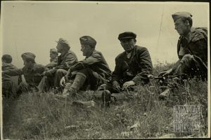 Στελέχη Δ.Σ.Ε.