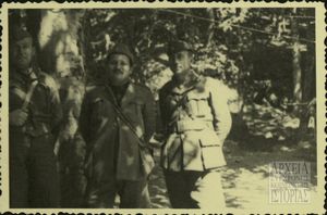 Στελέχη Δ.Σ.Ε.