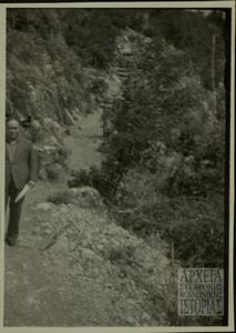 Στελέχη Δ.Σ.Ε.