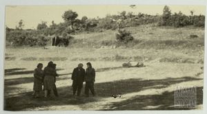 Στελέχη Δ.Σ.Ε.