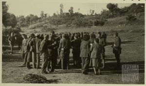 Στελέχη Δ.Σ.Ε.