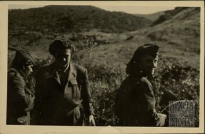 Στελέχη Δ.Σ.Ε.