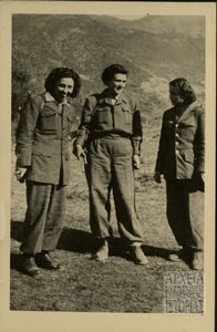 Στελέχη Δ.Σ.Ε.