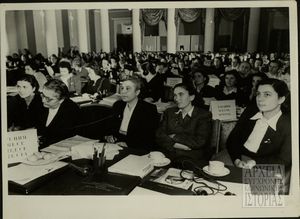 Συμβούλιο της Παγκόσμιας Δημοκρατικής Ομοσπονδίας Γυναικών