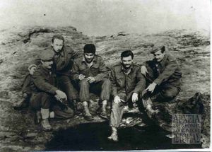 Τάγματα σκαπανέων