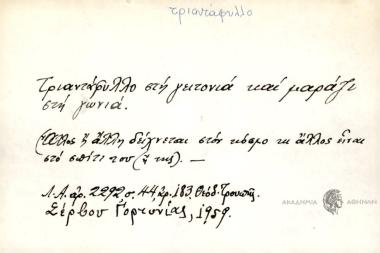 Τριαντάφυλλο στη γειτονιά και μαράζι στη γωνιά.