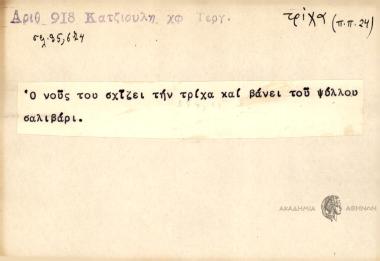 Ο νους τους σχίζει την τρίχα και βάνει του ψύλλου σαλιβάρι.
