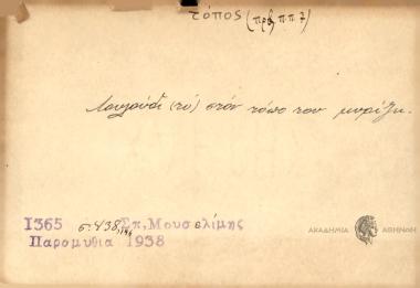 Λουλούδι στον τόπο του μυρίζει