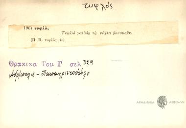 Τυφλοί γαϊδάρ τη νύχτα βουσκούν.
