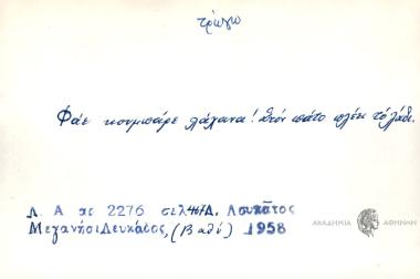 Φάε κουμπάρε λάχανα! Στον πάτο πλέει το λάδι.