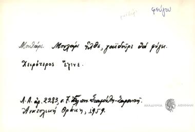 Μουλάρι ήλθε, γαϊδούρι θα φύγει.