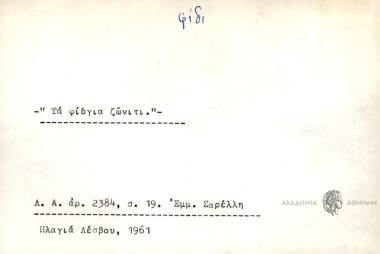 Τα φίδγια ζώνιτι.