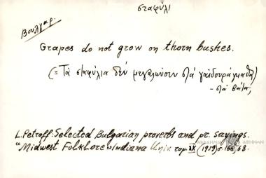 Grapes do not grow on thorn bushes.