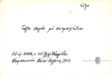 Τάζει λαγούς με πετραχήλια