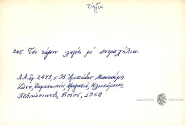 Τον τάζουν λαγούς με πετραχήλια