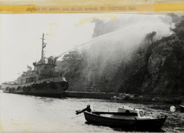 Fire in forest area in Salamis