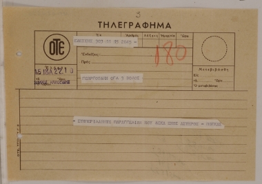 Loading and shipping of olives