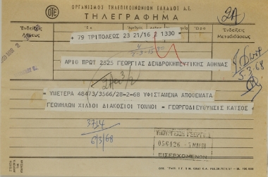 Αποθέματα γεωμήλων στην Τρίπολη