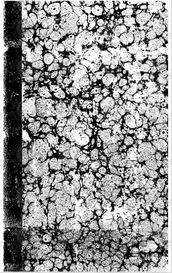 Εθνεγερτήρια σαλπίσματα δημοτικών ποιήσεων