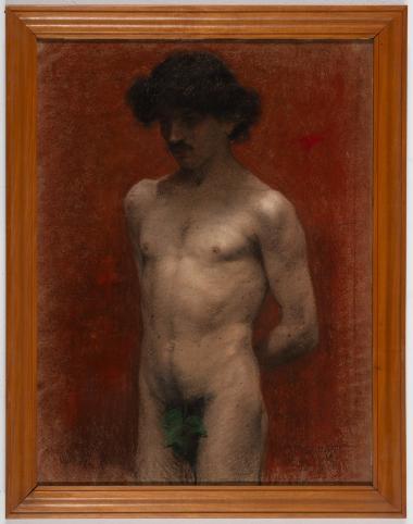 Male nude