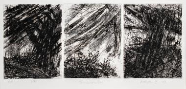 Συσσωρεύσεις