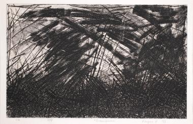 Διακυμάνσεις