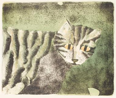 What is meow, meow doing on the tiles