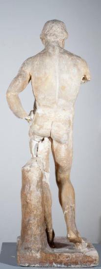 Κορμός νέου