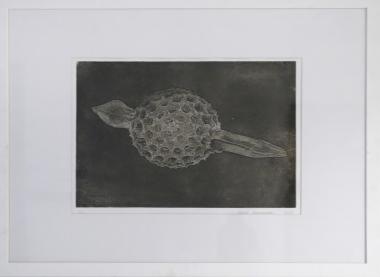 Χωρίς τίτλο