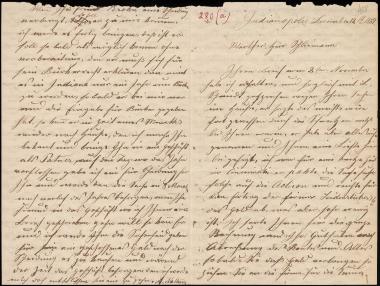 Letter sent by Naltner, Aegidius to Schliemann, Heinrich, 1869
