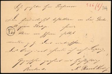 Letter sent by Raschkow, N. Jr. to Schliemann, Heinrich, 1888