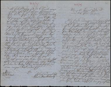 Letter sent by Petrowsky, Doris to Schliemann, Heinrich, 1873
