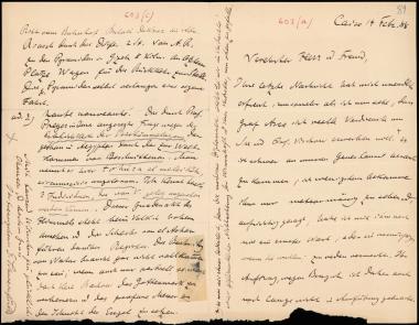 Letter sent by Schweinfurt, G. to Schliemann, Heinrich, 1888