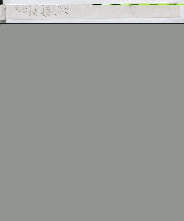 Copy of letter by Schliemann, Heinrich to Dörpfeld, Wilhelm, 1890