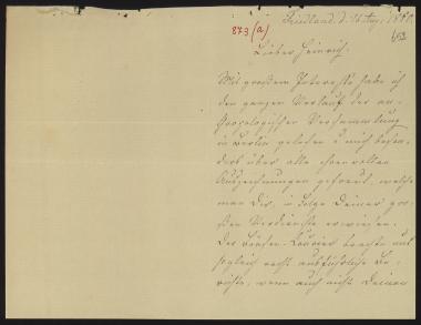 Letter sent by Richers, Minna Meincke to Schliemann, Heinrich, 1880