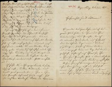 Letter sent by Schels, August to Schliemann, Heinrich, 1875
