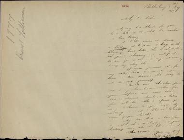 Letter sent by Schliemann, Ernst Wilhelm to Schliemann, Heinrich, 1877