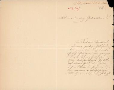 Letter sent by Schliemann, Elise to Schliemann, Heinrich [1887]
